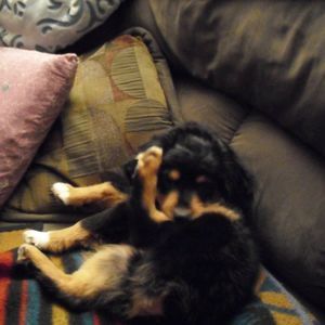 Meet your Posher, Kimberly